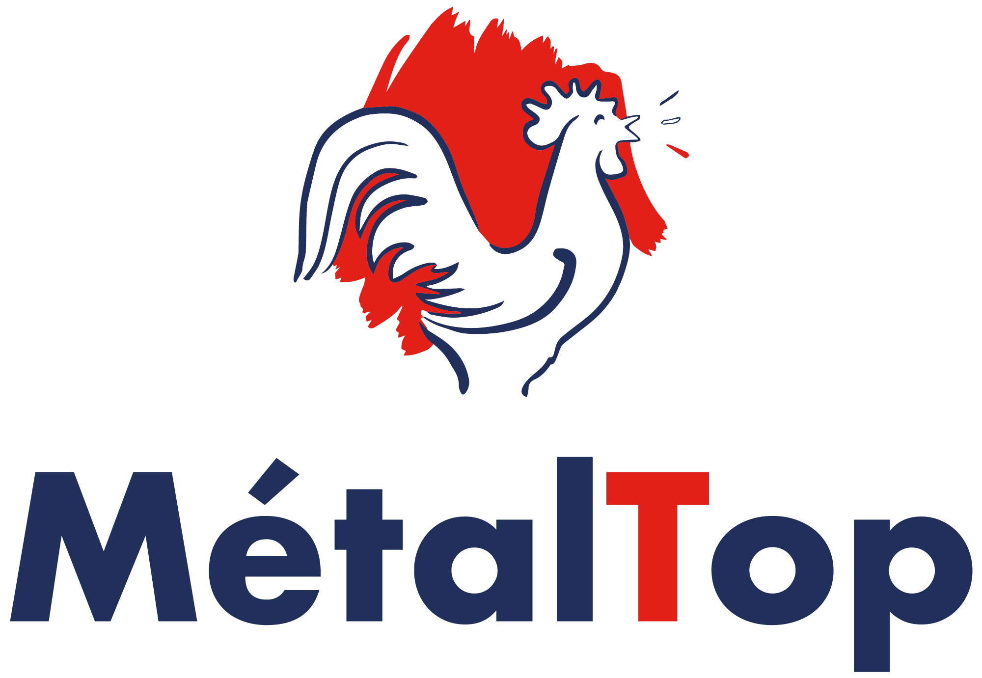 Logo MetalTop